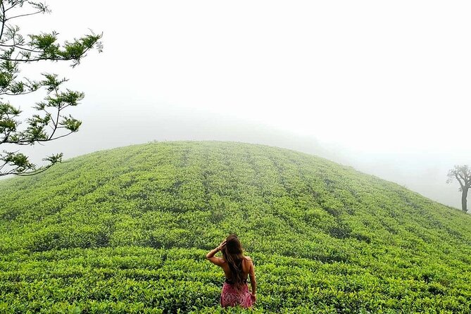 Private 7 Days Sri Lanka Tour with Safari and Cultural sites - Gregory Lake to Ella by Blue Train: bridges and a climb that feels worth it