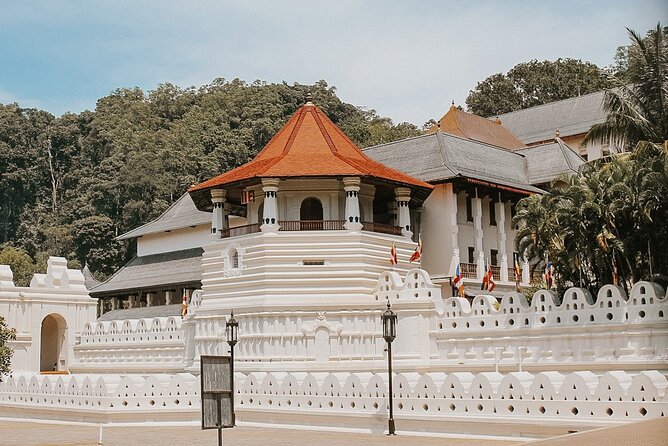Private 7 Days Sri Lanka Tour with Safari and Cultural sites - Private driving and how to make it feel smooth