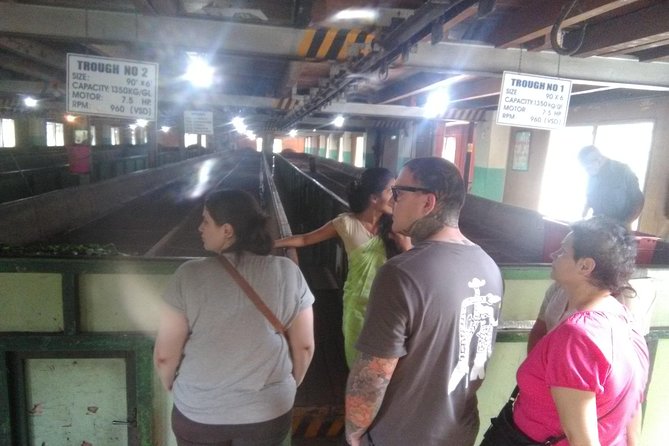 Private all inclusive Day tour Kandy, Pinnawala, & your own selected attractions - Kandy’s Temple of the Sacred Tooth Relic: UNESCO Status and a Reality Check on Guides