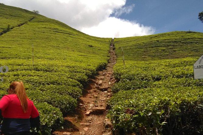 Private all inclusive Day tour Kandy, Pinnawala, & your own selected attractions - Island Spice Grove: A Learned Stop With a Compliment-Worthy Massage