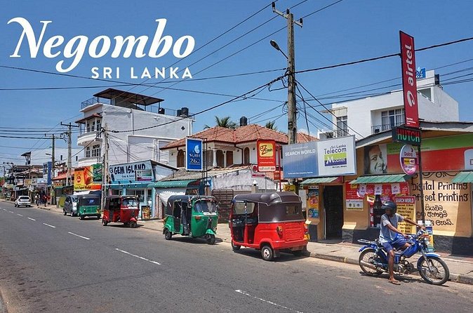 Private City Tour in Negombo - The guide factor: helpful, attentive, and easy on the day