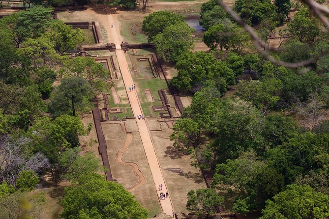 Private Day Tour from Colombo to Sigiriya, Dambulla & Pidurangala - Price and logistics: what $71.25 buys you (and what it doesn’t)