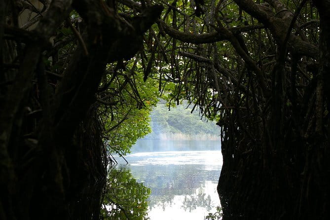 Private Day Tour: Negombo City Tour from Colombo - Key Highlights You’ll Actually Notice