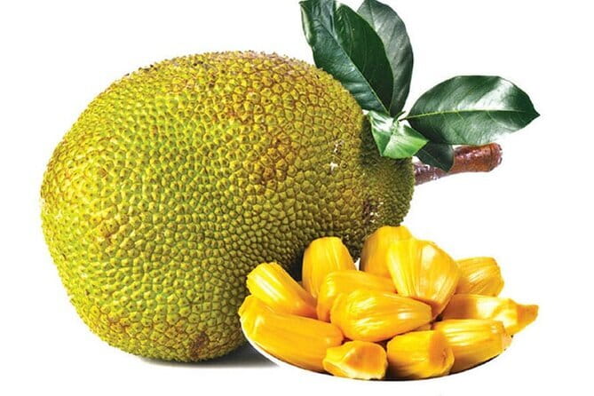 Private Day Tour: Negombo City Tour from Colombo - Private Tour Value: What You’re Paying For (and What You’re Not)