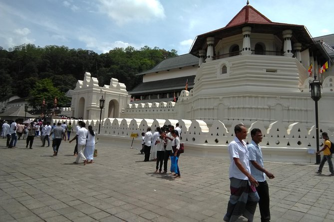 Private Day trip Kandy & pinnawala with your selected attractions - Island Spice Grove herbal garden: learning that doesn’t feel rushed