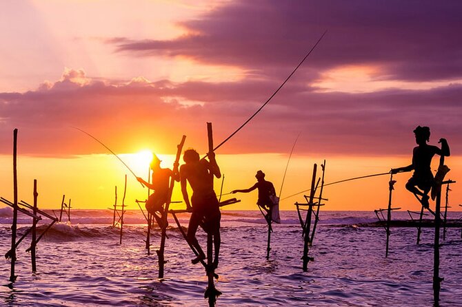 Private Day Trip to Yala National Park from Colombo - Price and value: when $180 makes sense