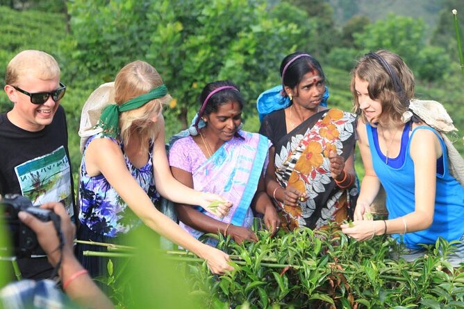 Private Galle Day Tour with Boat Safari & Tea Factory Visit - All Inclusive - Sea turtle hatchery + Buddhist temple: hands-on wonder, then a quiet pause