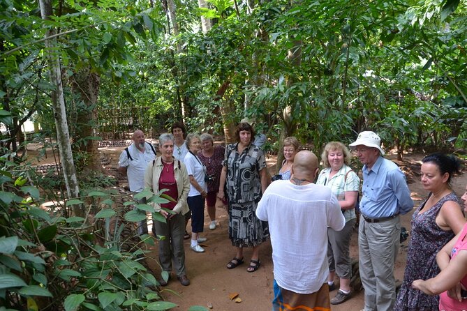 Private Galle Day Tour with Boat Safari & Tea Factory Visit - All Inclusive - Tea plantation and factory visit: understanding the process behind the cup