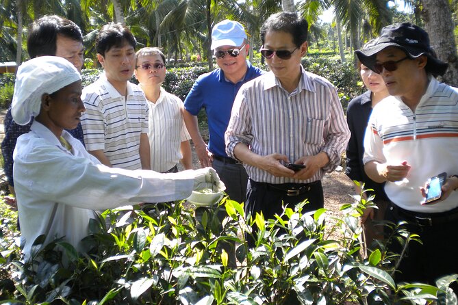 Private Galle Day Tour with Boat Safari & Tea Factory Visit - All Inclusive - Driving time: why the schedule feels full (and how to enjoy it)
