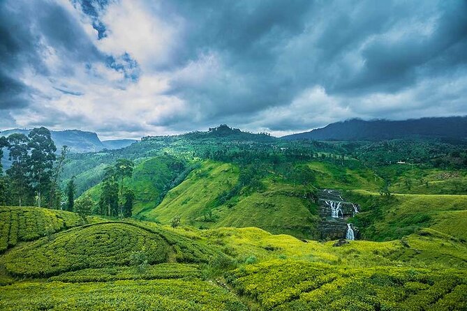 Private Multi-Day Outdoor Tour in Sri Lanka - Day 4: Nuwara Eliya tea-country scenery and Kitulgala rafting