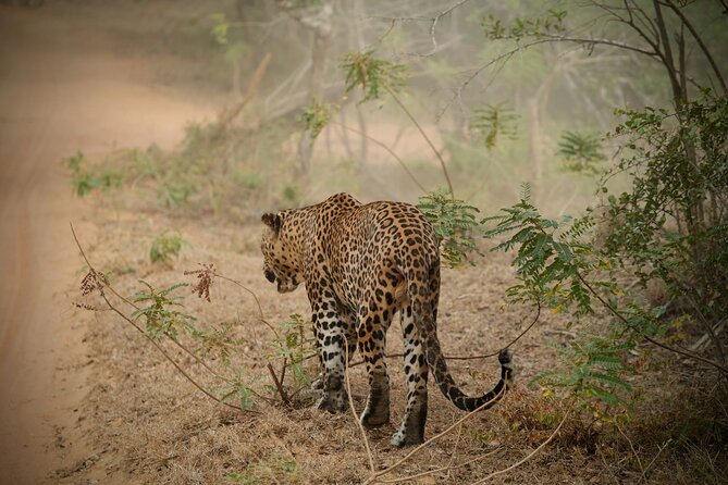 Private Multi Day Sri Lanka Tour with Chauffeur - Key highlights to plan around