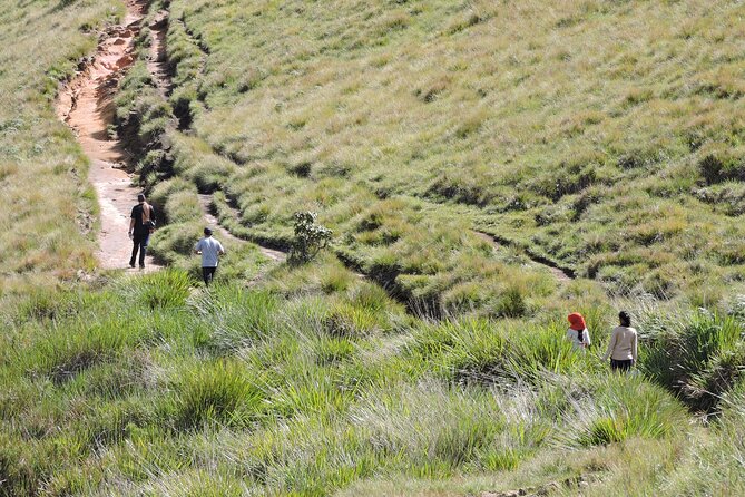 Private Multi-Day Sri Lanka Treks and Hikes Tour - Sinharaja Forest Reserve: early bird spotting and a slower feel