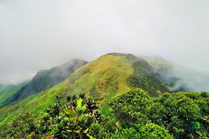 Private Multi-Day Sri Lanka Treks and Hikes Tour - Kalutara recovery days with warm oil massage