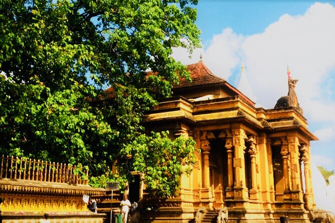 Private Night Tour in Colombo with Street Food Tasting - Should You Book? My Practical Take