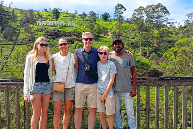 Private Taxi Service Around Sri Lanka with Airport Pickup & Drop - What you’re buying: control, comfort, and timing