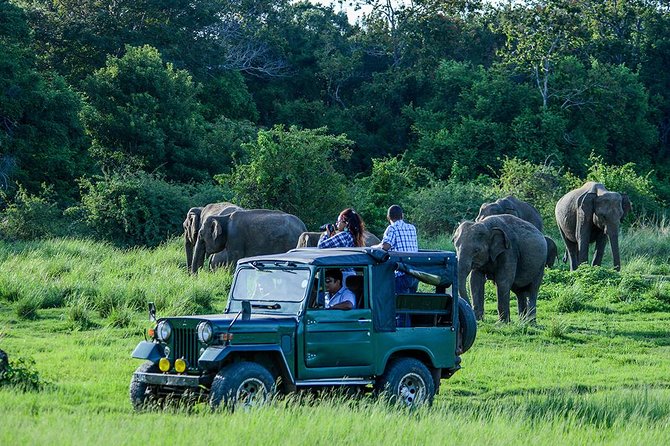 Private Trip to Sigiriya, Dambulla & safari from Colombo/ Negombo - Adding Pidurangala: The Sister Rock View (and the Climb Payoff)