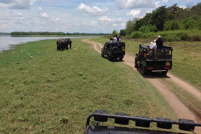 Private Trip to Sigiriya, Dambulla & safari from Colombo/ Negombo - Price and Logistics: Is $67 Worth It?