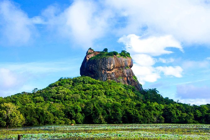 Private Trip to Sigiriya, Dambulla & safari from Colombo/ Negombo - The Human Factor: Drivers, Pacing, and the One Concern to Ask About