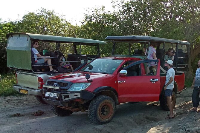 Private Wilpatu National Park Leopard safari from Colombo/Negambo - Wilpattu vs. the louder safari days