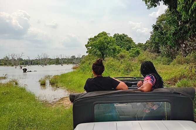 Private Wilpatu National Park Leopard safari from Colombo/Negambo - Private safari energy: how your group experience stays calm