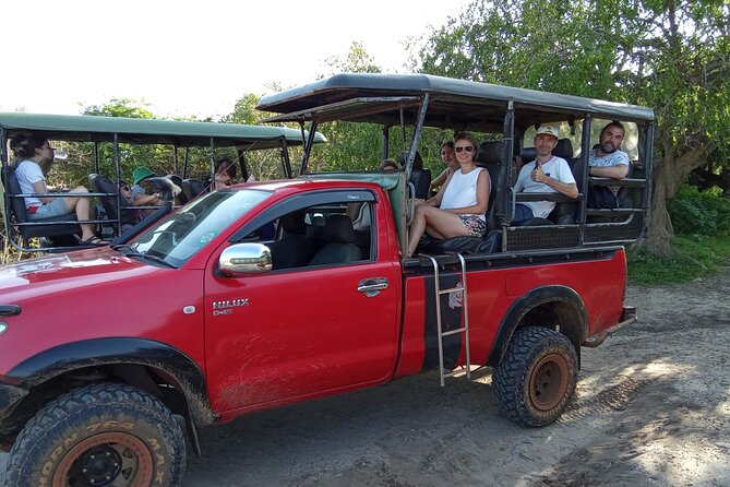 Private Wilpatu National Park Leopard safari from Colombo/Negambo - Safari drives and the 4x4 reality check