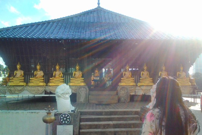 Privet Full-day Sightseeing Tour of Colombo - Getting Oriented in Colombo’s Trade-Era Streets