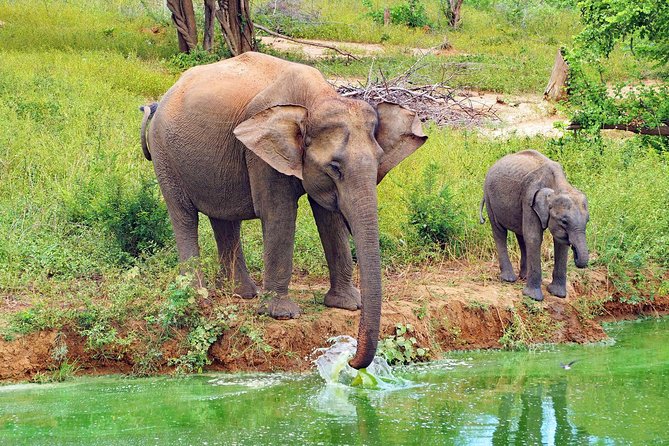 Round tour - 7days & 6nights - Colombo to Negombo: Your First Night Sets the Tone