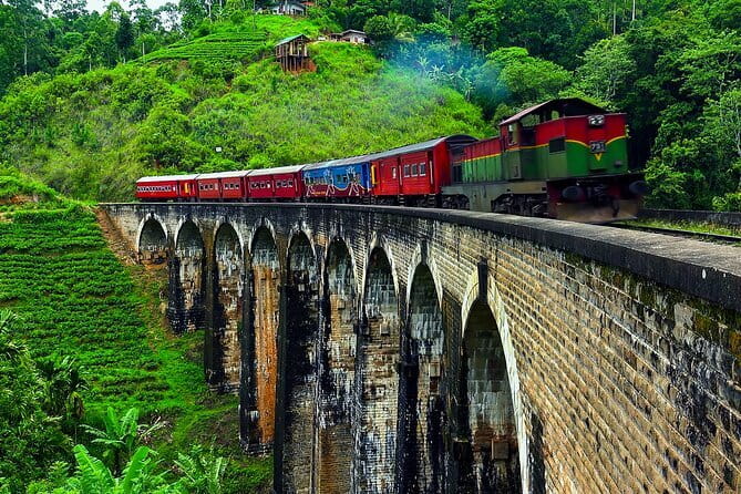 Round tour in Sri Lanka 11daysby Aaliya Tours-Hotels with H/B - Wildlife reserves and ancient sites: why this route works