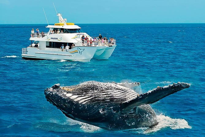Round tour in Sri Lanka 11daysby Aaliya Tours-Hotels with H/B - Price and logistics: what the $1,200 really covers