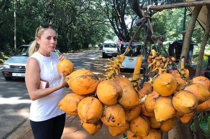 Round tour in Sri Lanka 11daysby Aaliya Tours-Hotels with H/B - Dambulla Cave Temple and Sigiriya: stairs, views, and royal-era scale