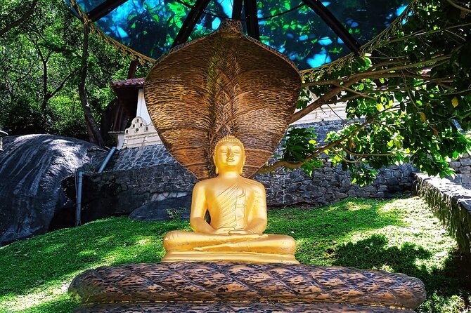 Safari Day Tour to Sigiriya Lion Rock and Golden Cave Temple - The Pace: Timing, Energy, And What A 6:00 am Start Means