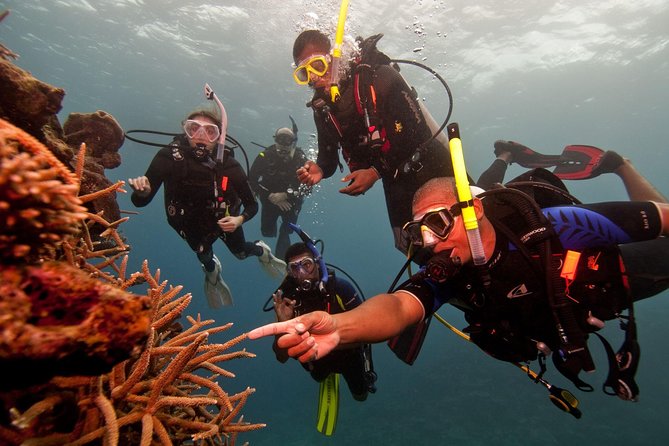 Scuba Diving For Beginners - Key Points You’ll Care About (Before You Go)