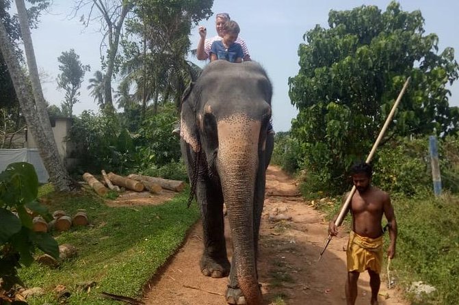 Shore Excursion From Colombo port to Ingiriya Tea Plantation & back for 2 People - What to Bring and How to Get the Best Experience