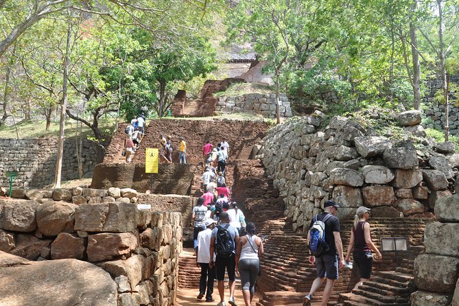 Sigiriya and Dambulla from Negombo - What to expect from the guide and timing