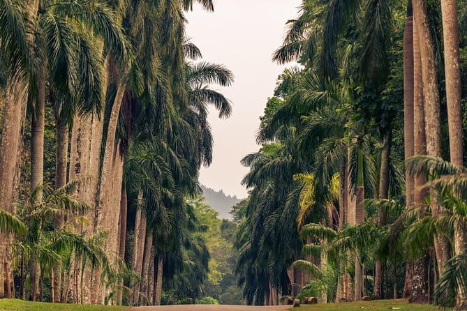 Sigiriya and Dambulla Private Full-Day Guided Tour - Price and what you’re really paying for (and what’s not included)