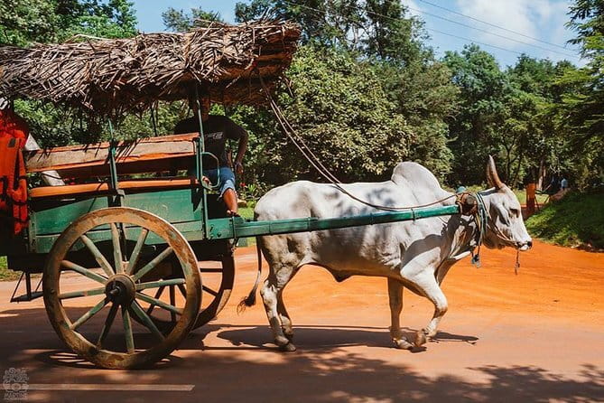 Sigiriya and Dambulla Private Full-Day Guided Tour - Who this tour fits best (and who should reconsider)