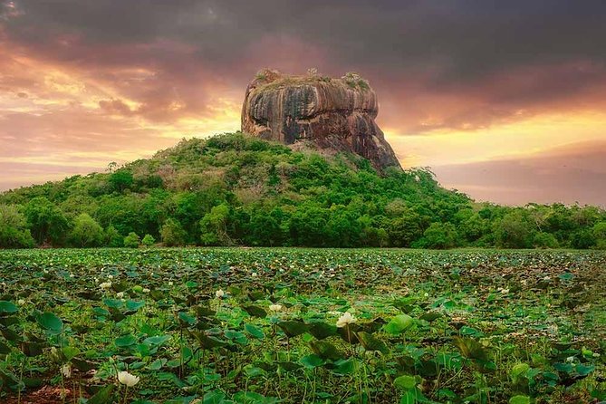 Sigiriya and Dambulla Tour (All Inclusive) - Driver over guide: what you really get with the transport