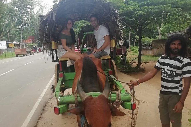 Sigiriya city tour from Negombo & Colombo with traditional Lunch. - Who this tour fits best (and who should reconsider)