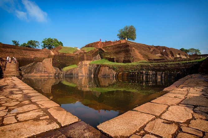 Sigiriya Day Tour from Colombo or Negombo by Private Car / Van - Stop 3: Minneriya National Park for Wildlife Time