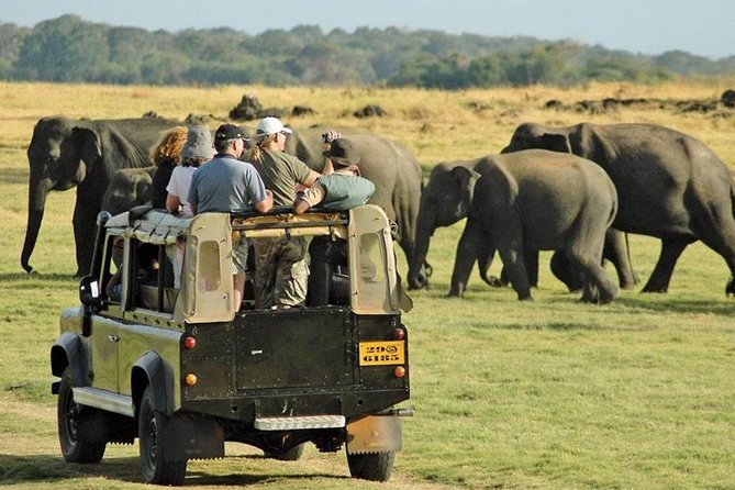 Sigiriya Day Tours with Sri Lanka Friendly Driver - Meeting Point, Timing, and How to Handle the Long Day