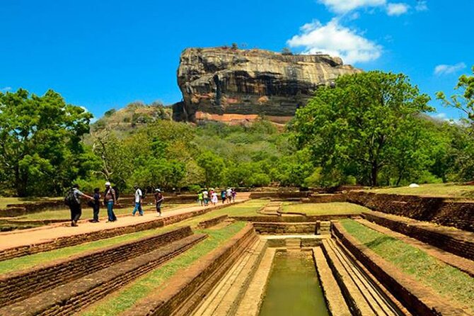 Sigiriya Day Trip with Experts - Stop 1: Minneriya National Park Evening Elephant Safari