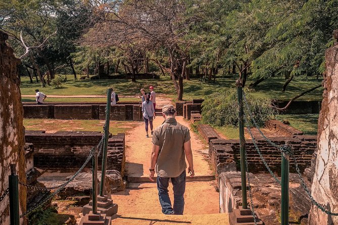 Sigiriya, Polonnaruwa & Dambulla "Trilogy" Day Tour from Colombo - Private chauffeured transport from Colombo or Negombo (and why it matters)