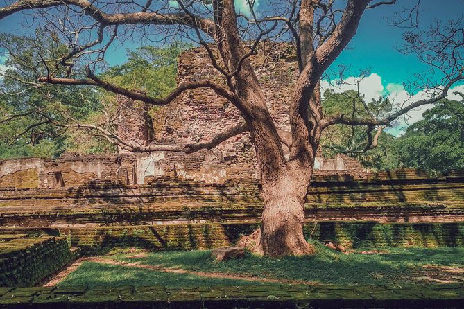 Sigiriya, Polonnaruwa & Dambulla "Trilogy" Day Tour from Colombo - How the day flows: timing, pacing, and the “long-day” reality