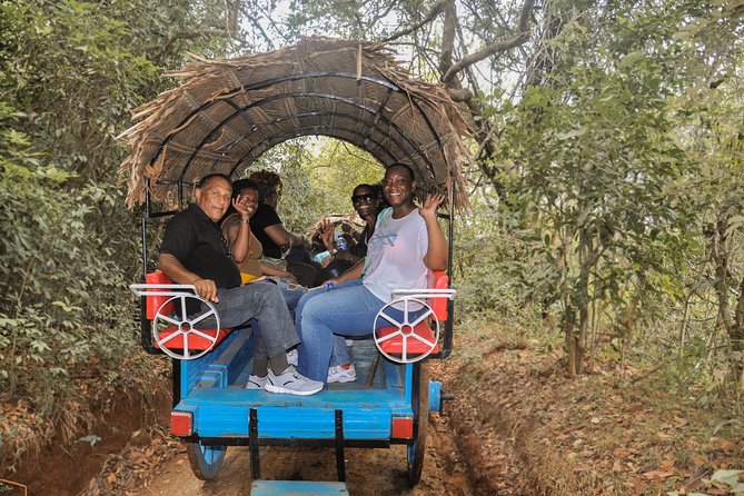 Sigiriya Rock and Village Tour from Colombo - Key Highlights You Should Not Miss