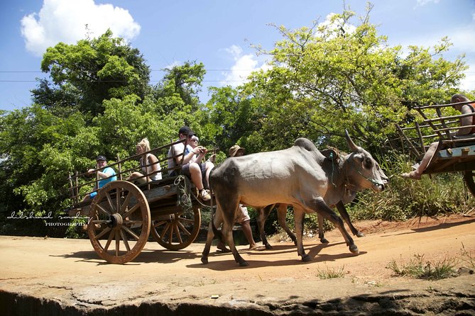 Sigiriya Rock and Village Tour from Colombo - Village Lunch: What It Is, What It Costs, and Why It Matters