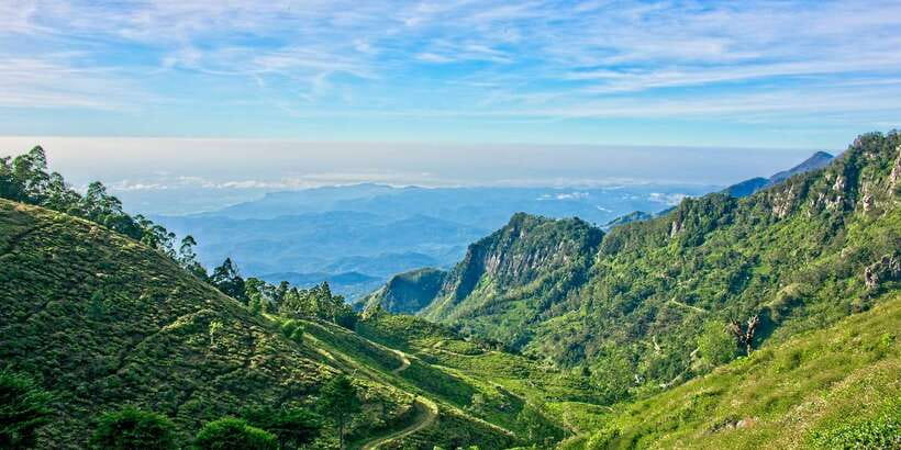 Sri Lanka: 2-Day wildlife tour; rainforest and National park - Tea trail in Nuwara Eliya: gardens, factory tour, and what you actually take away