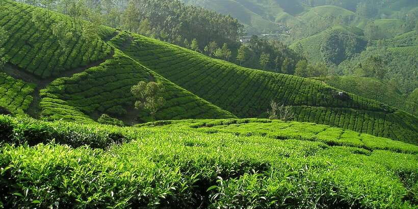 Sri Lanka: 2-Day wildlife tour; rainforest and National park - Waterfalls and spice/herbal garden stops: short, but useful context