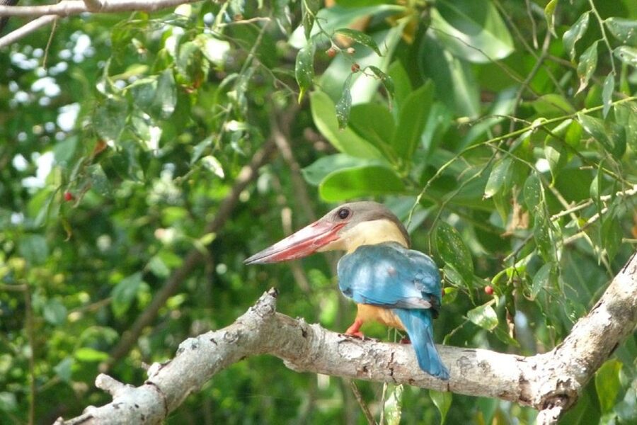 Sri Lanka: 2-Day wildlife tour; rainforest and National park - Price and value: $350 isn’t just “transport,” but you still need a budget mindset