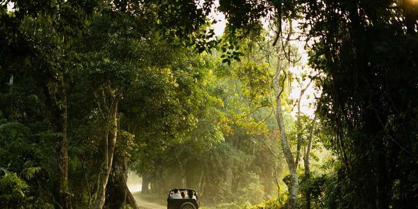 Sri Lanka: 2-Day wildlife tour; rainforest and National park - Who should book this tour (and who should skip it)