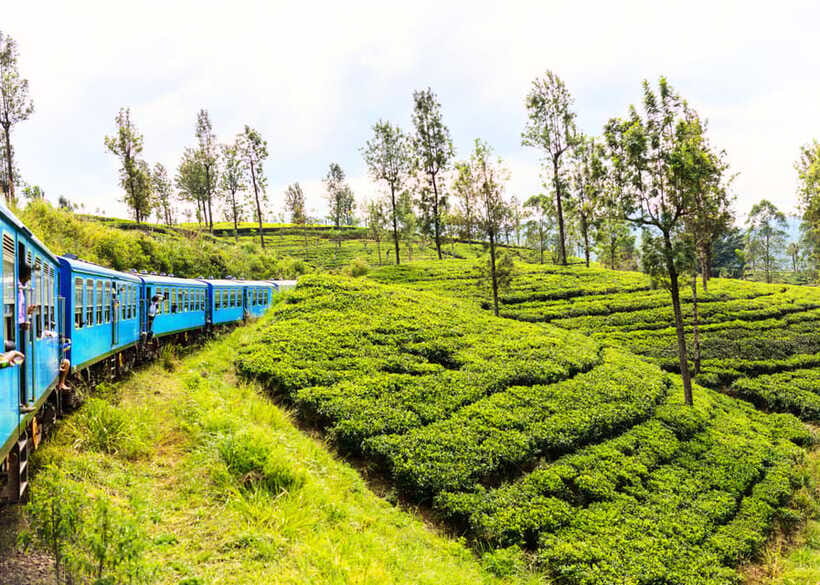 Sri Lanka 5-Day Private Country Side Tour Car, Hotels, Food - Key things that make this tour work